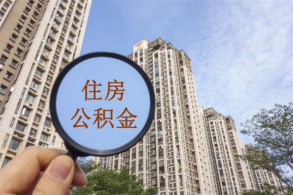 青岛离职后公司不给转公积金怎么办（离职后公司不给转社保怎么办）